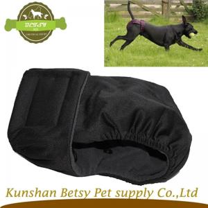 εποχική πάνες νέων σκυλιά