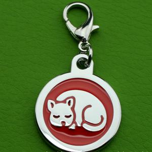 Ψευδαργύρου Πολωνική ηλεκτρολυτική πλαστική συγκόλληση ζωγραφιστή κατοικίδιων ζώων Ετικέτες ID σκύλου προμήθειες