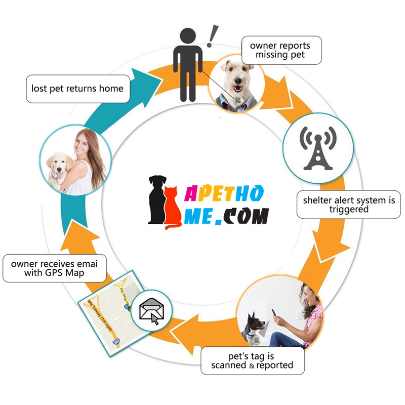 Εξατομικευμένες ετικέτες σκύλου και ετικέτες γάτας Ανοξείδωτο Smart Pet ID ετικέτας QR Code Scanned GPS Location