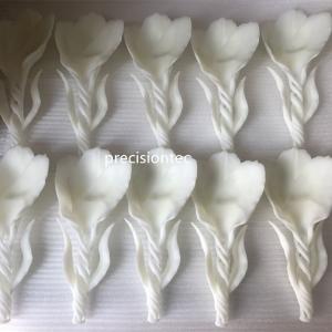 Διαλύματα πρωτοτύπου