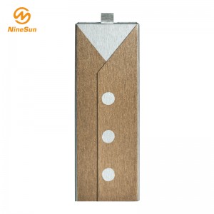 Χρυσό και ασημί κουτί Pen