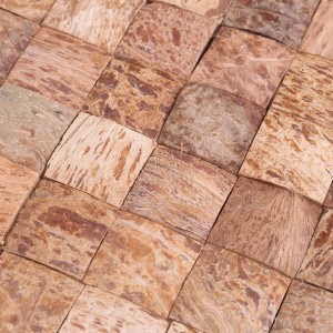 Δημιουργικό σχεδιασμό Φυσικό καρύδα κέλυφος μωσαϊκό Διακόσμηση τοίχου πλακάκια