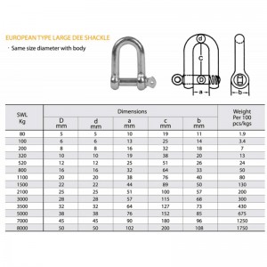 Ευρωπαϊκό τύπος γαλβανισμένο μεγάλο Dee σκοινί