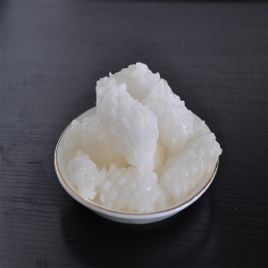 Κατεψυγμένα Λουλούδια Squid