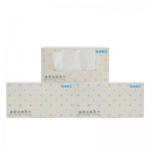 Ο καθαρισμός προσώπου μίας χρήσης σκουπίζει