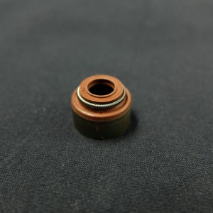 Κίνα εργοστάσιο Βουλκανιζατέρ από καουτσούκ Viton Βαλβίδα στεγανοποιεί στεγανοποιητικά από καουτσούκ