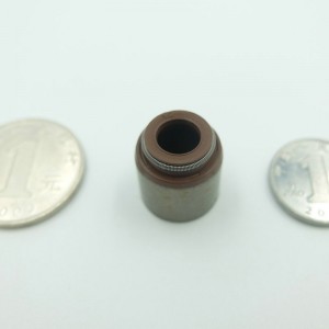 Κοχλίες στεγανοποίησης βαλβίδων υψηλής ποιότητας FKM για τα αυτοκίνητα Changan