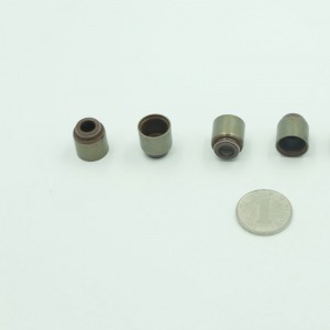 Κοχλίες στεγανοποίησης βαλβίδων υψηλής ποιότητας FKM για τα αυτοκίνητα Changan