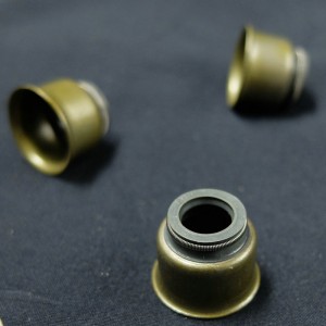 Υψηλής ποιότητας φτιαγμένο στην Κίνα Βαλβίδα σφραγίδα πετρελαίου βλαστικών για αυτοκίνητα της Ford