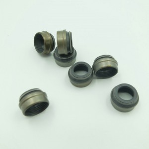 Ανταλλακτικά αυτόματου καουτσούκ Σφραγίδα πετρελαίου βαλβίδων για μετά την αντικατάσταση της αγοράς