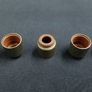 Κίνα προμηθευτής Βαλβίδα σφραγίδα πετρελαίου βλαστικών για τα αυτοκίνητα της Renault