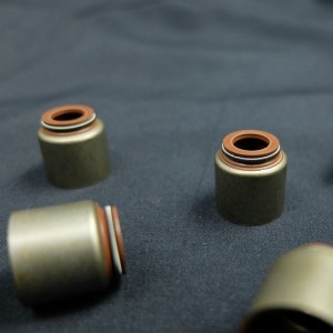 Κίνα προμηθευτής Βαλβίδα σφραγίδα πετρελαίου βλαστικών για τα αυτοκίνητα της Renault