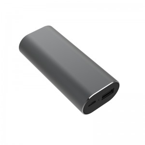 WS-P2 Έξυπνες φωνητικές μεταφραστές