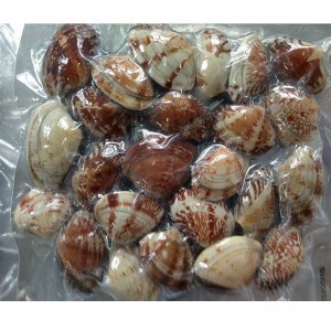 ΚΑΛΥΜΜΑ ΒΑΘΜΟΥ ΒΑΛΒΙΔΑΣ