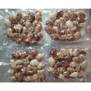 ΚΑΛΥΜΜΑ ΒΑΘΜΟΥ ΒΑΛΒΙΔΑΣ