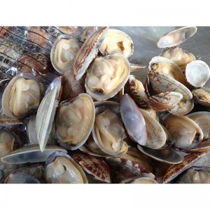 ΚΑΛΥΜΜΑ ΒΑΘΜΟΥ ΒΑΛΒΙΔΑΣ