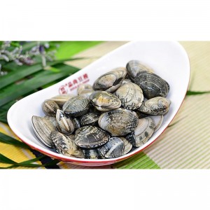 ΚΑΤΕΨΥΓΜΕΝΟ ΚΛΕΙΔΙ