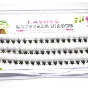 2D έως 20 D Επέκταση συμπλέγματος βλεφαρίδων