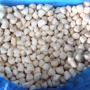 Κατεψυγμένα κρέατα χτένια