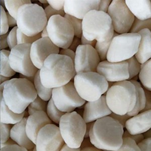 Κατεψυγμένα κρέατα από χτένια