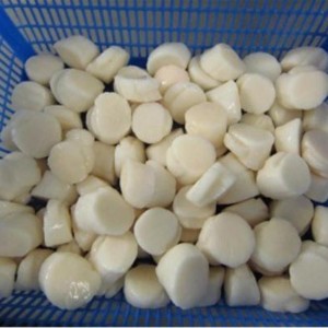 Κατεψυγμένα κρέατα από χτένια