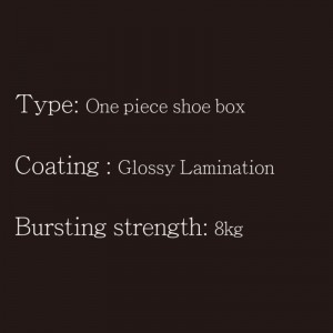 Κουτί παπουτσιών OP Type1