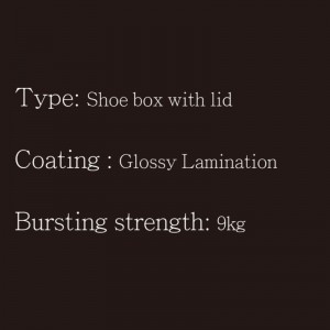 Κουτί παπουτσιών με καπάκι τύπου1