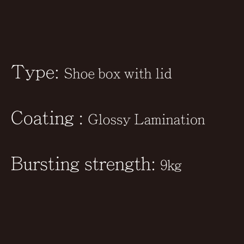 Κουτί παπουτσιών με καπάκι τύπου1