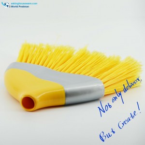 Akbrand Πλαστικό Κεφάλι Σκουπιδιών με Πινέλο Τριγώνου και Μακριές Τριφύλλιες