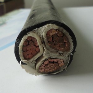 0,6 / 1kv 3 X 6mm2 καλώδιο ισχύος LV Pvc μονωμένο Cu στερεών / λωρίδων αγωγών