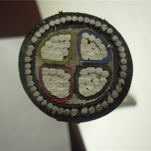 Ηλεκτρικό τροφοδοτημένο αλουμίνιο με θωρακισμένο καλώδιο / θωρακισμένο καλώδιο 4 πυρήνων