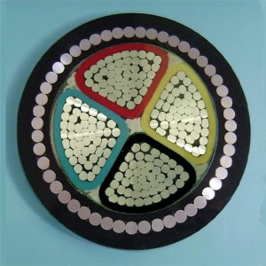 Ηλεκτρικό τροφοδοτημένο αλουμίνιο με θωρακισμένο καλώδιο / θωρακισμένο καλώδιο 4 πυρήνων