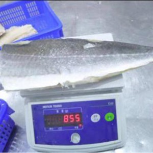 Κατεψυγμένα αλατισμένα φιλέτα Saithe Atlantic