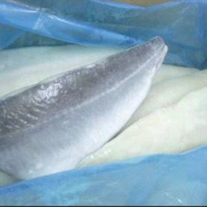 Κατεψυγμένα αλατισμένα φιλέτα Saithe Atlantic