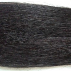 Αλογοουρά - Crown08