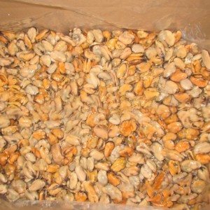 Κρέας από κατεψυγμένο βραστό κρέας