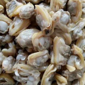 ΨΗΜΕΝΟ ΚΡΕΑΣ ΚΡΕΑΣ ΚΡΕΑΣ