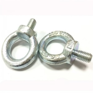 Βίδα ματιών AISI316 ή AISI304 από ανοξείδωτο χάλυβα DIN580