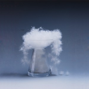 Φυσικό πάπια, υλικό από φτερά χήνας κάτω