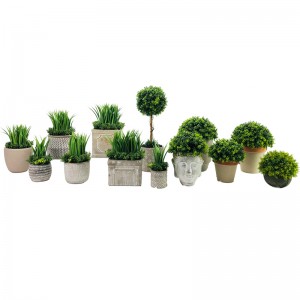 Τεχνητή Ρεαλιστική Succulent Grass Plant Tropical Home Decor Κήπος