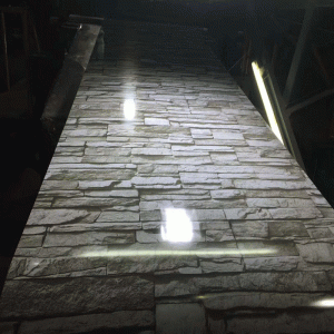 Έγχρωμη μεμβράνη εκτύπωσης