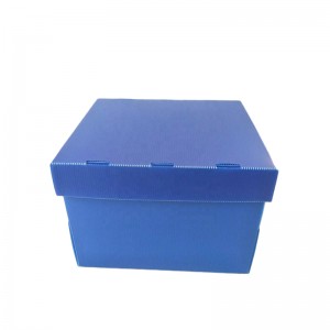 Κουτί φρούτων και λαχανικών