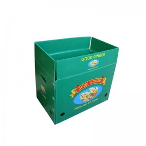 Το κιβώτιο τζίντζερ