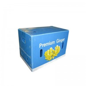 Το κιβώτιο τζίντζερ