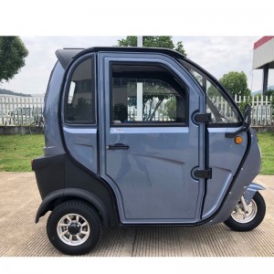 E-Trike, Ηλεκτρονικό τρικύκλιο, Ηλεκτρικό κιβώτιο