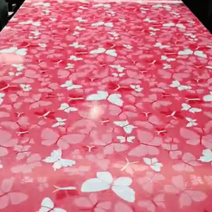 Τυπωμένη πλάκα χάλυβα