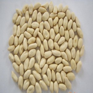 Μηχανή αποφλοιώσεως φυστικιών / μηχανή ξεφλούδισμα φυστικιών