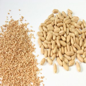 Φιστίκι αλέθων / αραχιδέλαιο