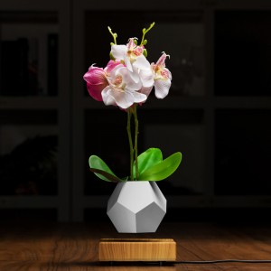 μαγνητική άντληση πλωτή φυσαλίδα αέρος μπονσάι PA-0708