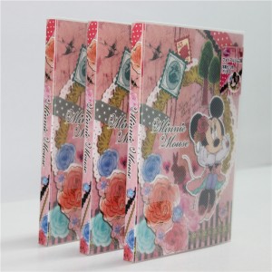 PP πλαστικό φωτογραφικό άλμπουμ εκτύπωσης